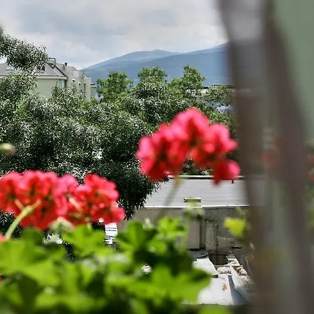 学生城区蒙阿密公寓 * 索菲亞