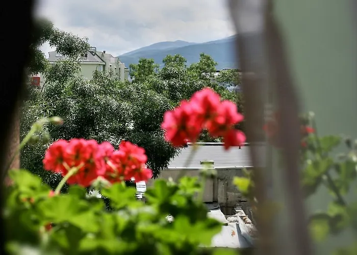 Mon Ami In Studentski Grad Area * Sofia