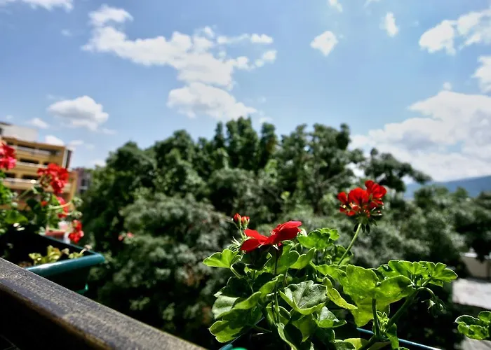 Mon Ami In Studentski Grad Area Lejlighed Sofia
